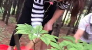 锄头小姐姐,田园生活中的独特魅力