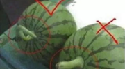 一起看吃瓜网,一起看吃瓜网带你领略明星幕后故事